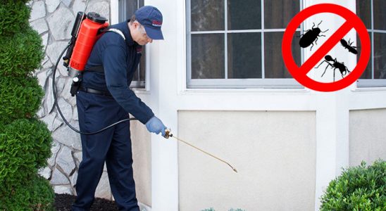 Çarşıbaşı Böcek İlaçlama böcek ilaçlama ve haşere kontrolü — ilaclama-tr.com